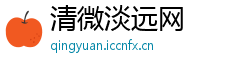 清微淡远网